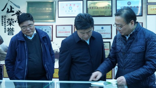市政府国资委党委书记、主任张红桢一行莅临佛慈集团调研指导