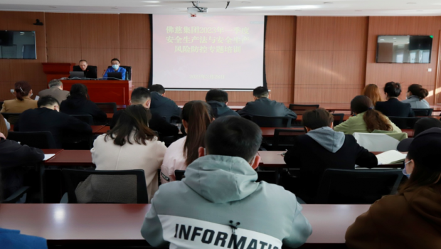 构建“双防”机制 筑牢安全防线 ——佛慈集团开展2023年第一季度安全生产法与 安全生产风险防控专题培训