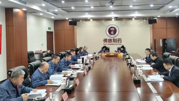 佛慈集团党委召开2024年度民主生活会