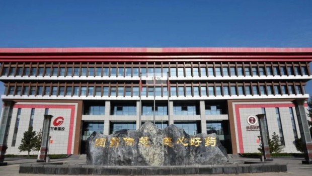 佛慈集团召开2024年度党支部书记抓基层党建和人才工作述职评议会议